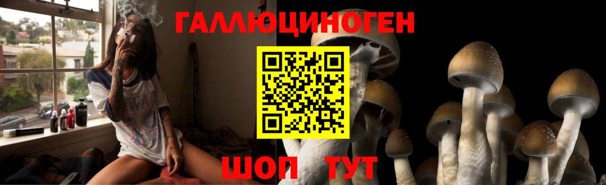 Галлюциногенные грибы мухоморы  купить   Псилоцибиновые грибы GOLDEN TEACHER  Донецк  Вход с VPN 